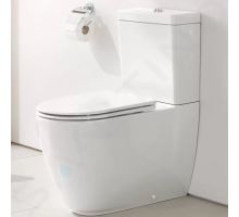 Grohe Essence WC kombi mísa (3)